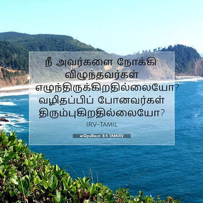 Picture 07 - எரேமியா 8:4 TAMIRV - நீ அவர்களை நோக்கி: - Bible Verse Picture