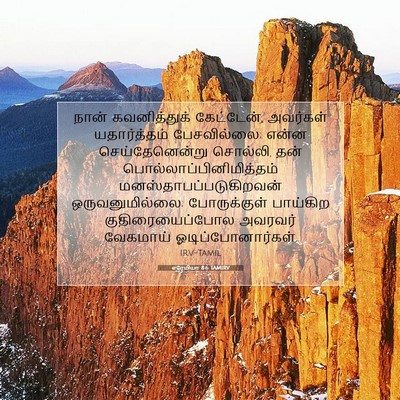 Picture 07 - எரேமியா 8:6 TAMIRV - நான் கவனித்துக் - Bible Verse Picture
