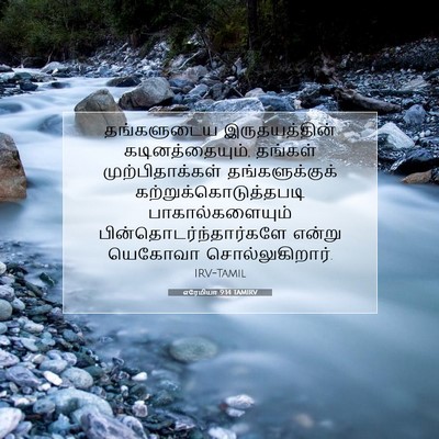 Picture 07 - எரேமியா 9:14 TAMIRV - தங்களுடைய - Bible Verse Picture
