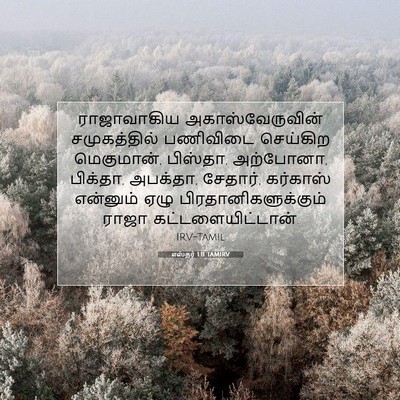 Picture 07 - எஸ்தர் 1:11 TAMIRV - ராஜாவாகிய - Bible Verse Picture