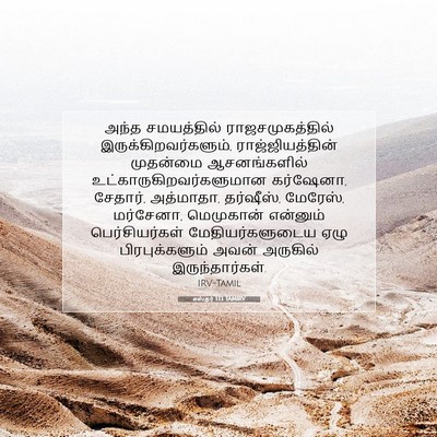 Picture 07 - எஸ்தர் 1:13 TAMIRV - அந்த சமயத்தில் - Bible Verse Picture