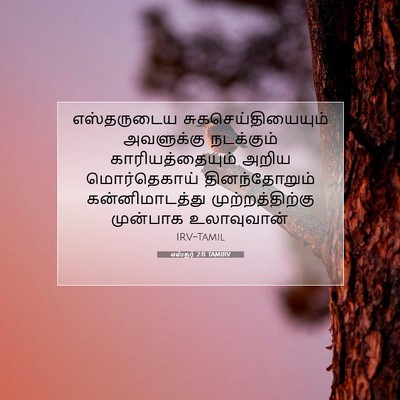 Picture 07 - எஸ்தர் 2:11 TAMIRV - எஸ்தருடைய - Bible Verse Picture