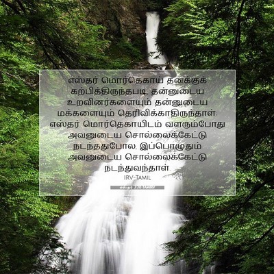 Picture 07 - எஸ்தர் 2:20 TAMIRV - எஸ்தர் மொர்தெகாய் - Bible Verse Picture