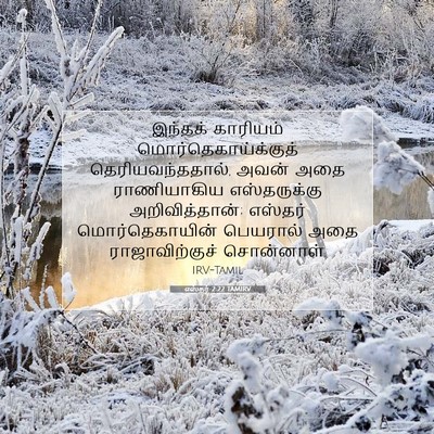 Picture 07 - எஸ்தர் 2:22 TAMIRV - இந்தக் காரியம் - Bible Verse Picture
