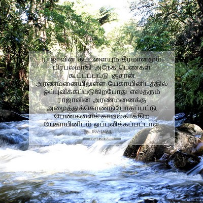 Picture 07 - எஸ்தர் 2:8 TAMIRV - ராஜாவின் - Bible Verse Picture