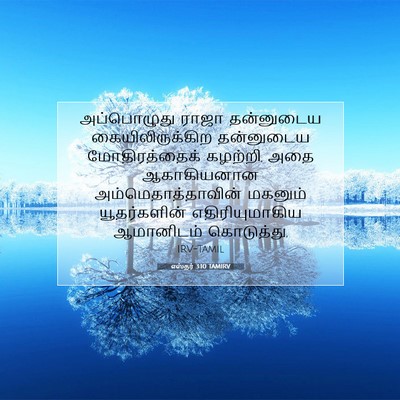 Picture 07 - எஸ்தர் 3:10 TAMIRV - அப்பொழுது ராஜா - Bible Verse Picture