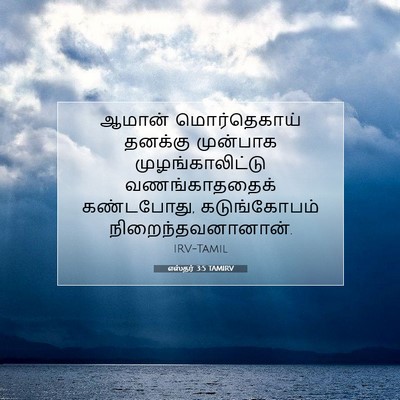 Picture 07 - எஸ்தர் 3:5 TAMIRV - ஆமான் மொர்தெகாய் - Bible Verse Picture