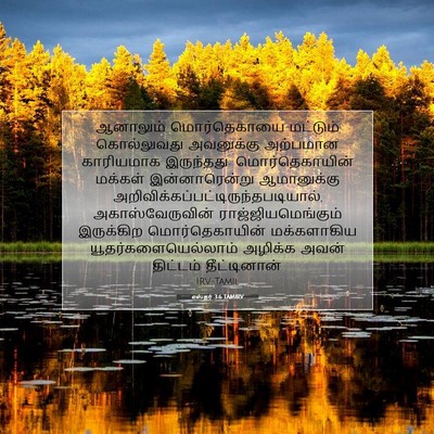 Picture 07 - எஸ்தர் 3:6 TAMIRV - ஆனாலும் - Bible Verse Picture