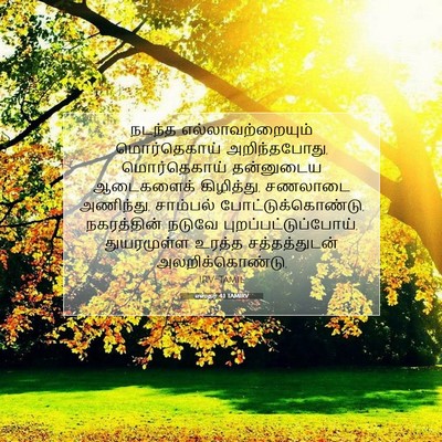 Picture 07 - எஸ்தர் 4:1 TAMIRV - நடந்த - Bible Verse Picture