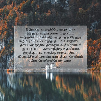 Picture 07 - எஸ்தர் 4:14 TAMIRV - நீ இந்தக் - Bible Verse Picture