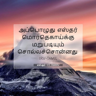 Picture 07 - எஸ்தர் 4:15 TAMIRV - அப்பொழுது எஸ்தர் - Bible Verse Picture