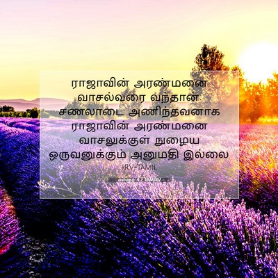 Picture 07 - எஸ்தர் 4:2 TAMIRV - ராஜாவின் அரண்மனை - Bible Verse Picture