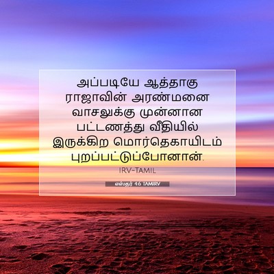 Picture 07 - எஸ்தர் 4:6 TAMIRV - அப்படியே ஆத்தாகு - Bible Verse Picture