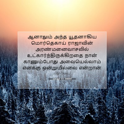 Picture 07 - எஸ்தர் 5:13 TAMIRV - ஆனாலும் அந்த - Bible Verse Picture
