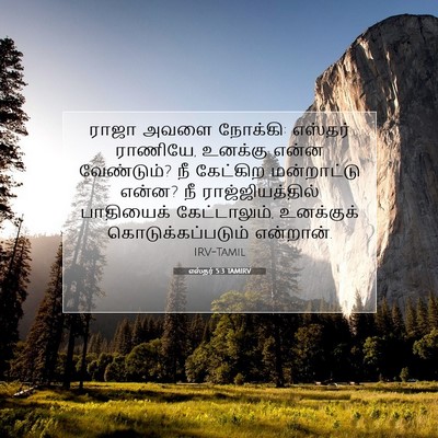 Picture 07 - எஸ்தர் 5:3 TAMIRV - ராஜா அவளை நோக்கி: - Bible Verse Picture