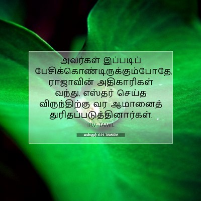 Picture 07 - எஸ்தர் 6:14 TAMIRV - அவர்கள் இப்படிப் - Bible Verse Picture