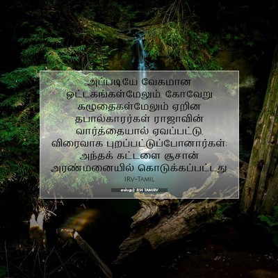 Picture 07 - எஸ்தர் 8:14 TAMIRV - அப்படியே வேகமான - Bible Verse Picture