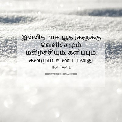 Picture 07 - எஸ்தர் 8:16 TAMIRV - இவ்விதமாக - Bible Verse Picture
