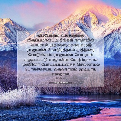 Picture 07 - எஸ்தர் 8:8 TAMIRV - இப்போதும் - Bible Verse Picture