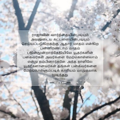 Picture 07 - எஸ்தர் 9:1 TAMIRV - ராஜாவின் - Bible Verse Picture