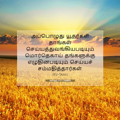 Picture 07 - எஸ்தர் 9:23 TAMIRV - அப்பொழுது - Bible Verse Picture