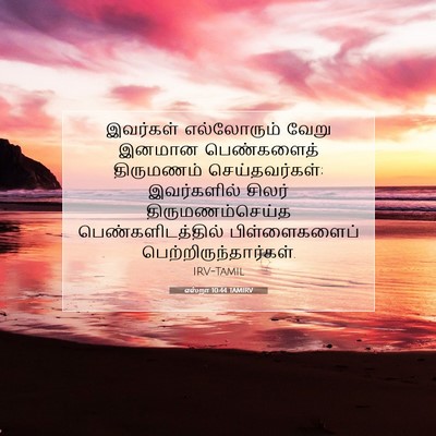 Picture 07 - எஸ்றா 10:44 TAMIRV - இவர்கள் எல்லோரும் - Bible Verse Picture