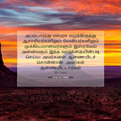 Picture 07 - எஸ்றா 10:5 TAMIRV - அப்பொழுது எஸ்றா - Bible Verse Picture