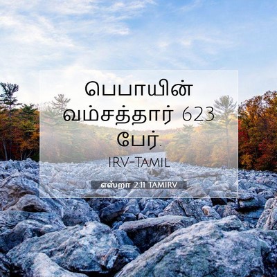 Picture 07 - எஸ்றா 2:11 TAMIRV - பெபாயின் - Bible Verse Picture