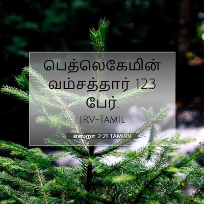 Picture 07 - எஸ்றா 2:21 TAMIRV - பெத்லெகேமின் - Bible Verse Picture