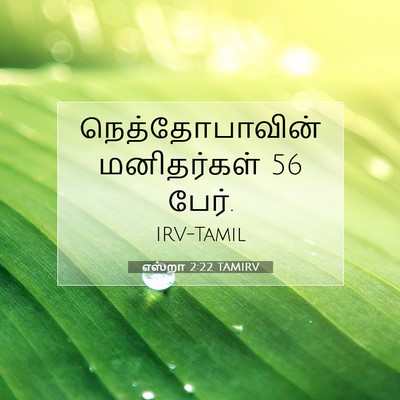 Picture 07 - எஸ்றா 2:22 TAMIRV - நெத்தோபாவின் - Bible Verse Picture