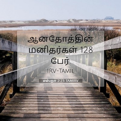Picture 07 - எஸ்றா 2:23 TAMIRV - ஆனதோத்தின் - Bible Verse Picture
