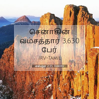 Picture 07 - எஸ்றா 2:35 TAMIRV - செனாகின் - Bible Verse Picture