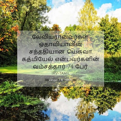 Picture 07 - எஸ்றா 2:40 TAMIRV - லேவியரானவர்கள்: - Bible Verse Picture