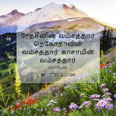 Picture 07 - எஸ்றா 2:48 TAMIRV - ரேத்சீனின் - Bible Verse Picture