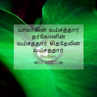 Picture 07 - எஸ்றா 2:56 TAMIRV - யாலாகின் - Bible Verse Picture