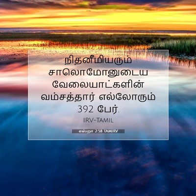 Picture 07 - எஸ்றா 2:58 TAMIRV - நிதனீமியரும் - Bible Verse Picture