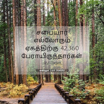 Picture 07 - எஸ்றா 2:64 TAMIRV - சபையார் எல்லோரும் - Bible Verse Picture