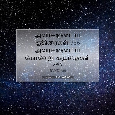 Picture 07 - எஸ்றா 2:66 TAMIRV - அவர்களுடைய - Bible Verse Picture