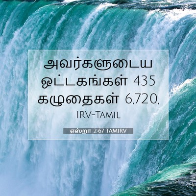 Picture 07 - எஸ்றா 2:67 TAMIRV - அவர்களுடைய - Bible Verse Picture