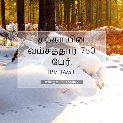 Picture 07 - எஸ்றா 2:9 TAMIRV - சக்காயின் - Bible Verse Picture