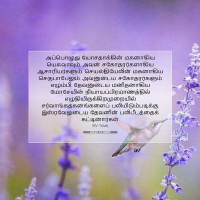 Picture 07 - எஸ்றா 3:2 TAMIRV - அப்பொழுது - Bible Verse Picture