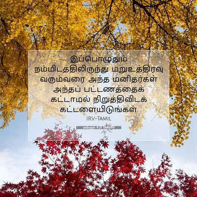 Picture 07 - எஸ்றா 4:21 TAMIRV - இப்பொழுதும் - Bible Verse Picture