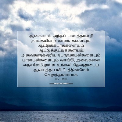 Picture 07 - எஸ்றா 7:17 TAMIRV - ஆகையால் அந்தப் - Bible Verse Picture