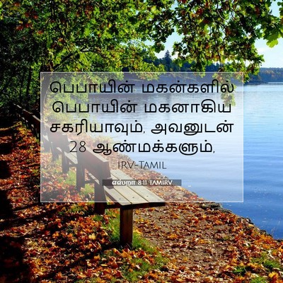 Picture 07 - எஸ்றா 8:11 TAMIRV - பெபாயின் - Bible Verse Picture