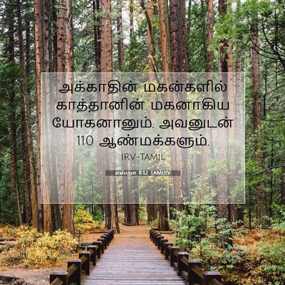 Picture 07 - எஸ்றா 8:12 TAMIRV - அக்காதின் - Bible Verse Picture