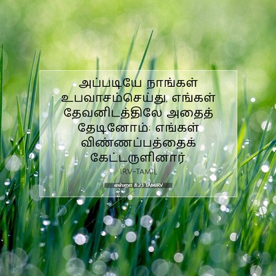 Picture 07 - எஸ்றா 8:23 TAMIRV - அப்படியே நாங்கள் - Bible Verse Picture