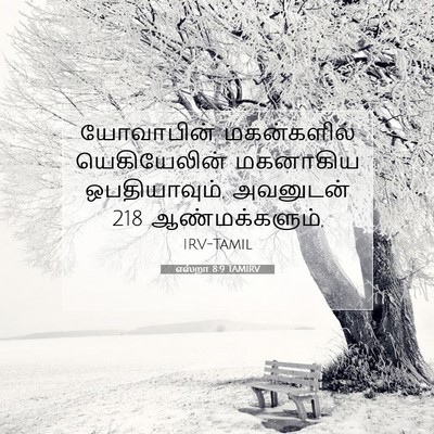 Picture 07 - எஸ்றா 8:9 TAMIRV - யோவாபின் - Bible Verse Picture