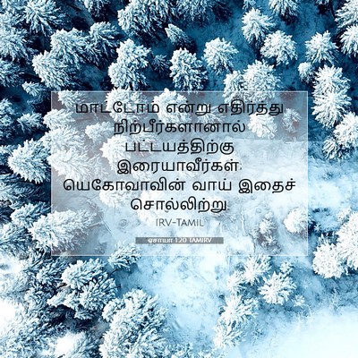 Picture 07 - ஏசாயா 1:20 TAMIRV - மாட்டோம் என்று - Bible Verse Picture
