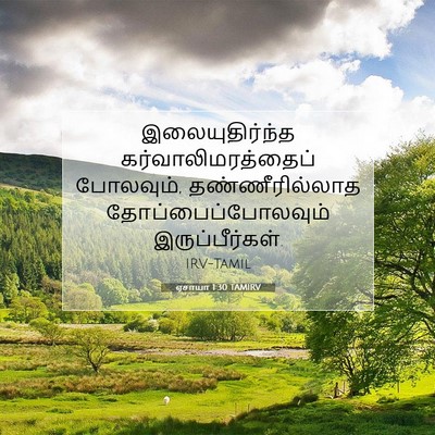 Picture 07 - ஏசாயா 1:30 TAMIRV - இலையுதிர்ந்த - Bible Verse Picture