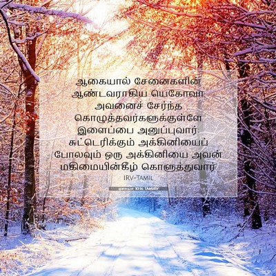 Picture 07 - ஏசாயா 10:16 TAMIRV - ஆகையால் சேனைகளின் - Bible Verse Picture